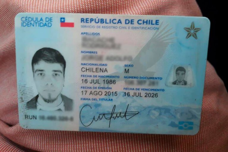 Cómo ver el árbol genealógico de mi familia con el RUT en Chile